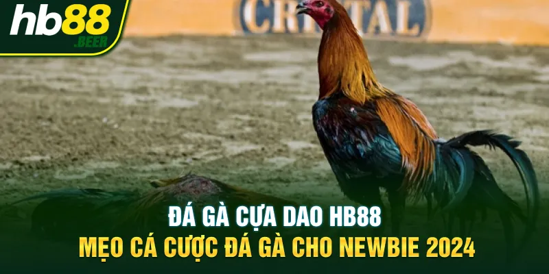 Đá Gà Cựa Dao Hb88 – Mẹo Cá Cược Đá Gà Cho Newbie 2024