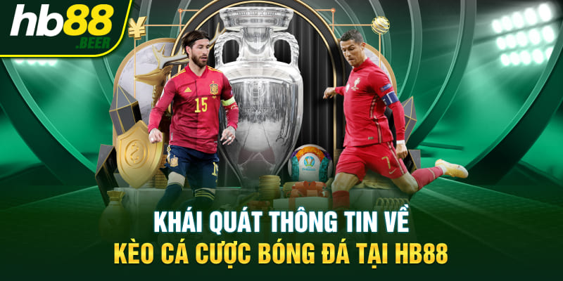 Khái quát thông tin về kèo cá cược bóng đá tại HB88