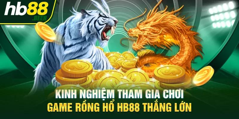Kinh nghiệm tham gia chơi game Rồng Hổ HB88 thắng lớn