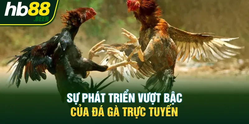 Sự phát triển vượt bậc của đá gà trực tuyến
