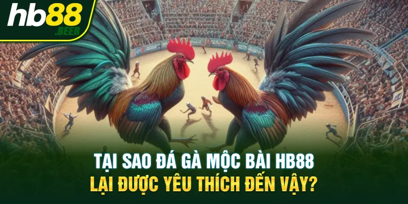 Tại sao đá gà mộc bài Hb88 lại được yêu thích đến vậy?